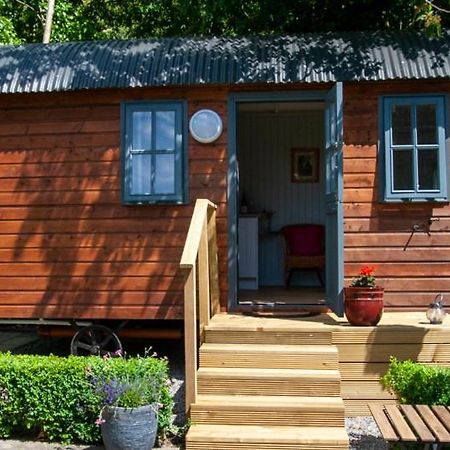 Hawthorn Hut Kilkenny Glamping At Jenkinstown House Hotel Jenkinstown Park Eksteriør billede