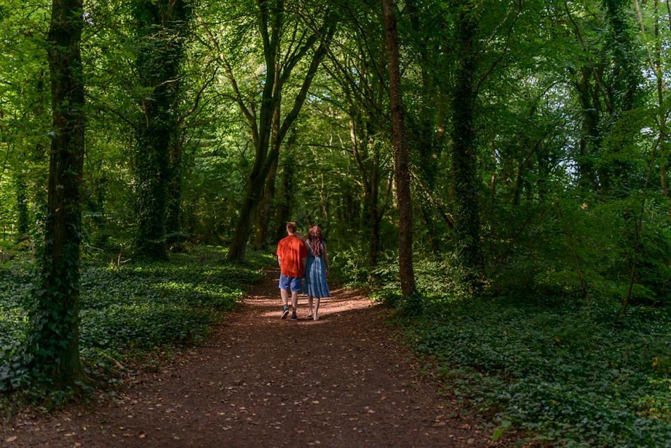 Hawthorn Hut Kilkenny Glamping At Jenkinstown House Hotel Jenkinstown Park Eksteriør billede